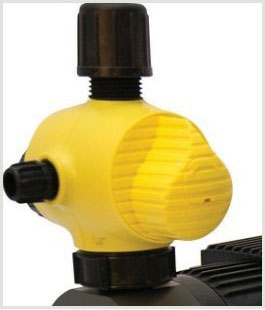 1565327967408457.jpg 1534302032940065-1.jpg