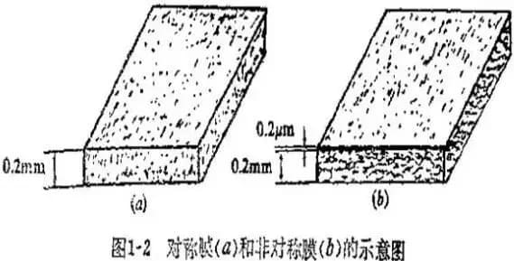1550720447207026 (1).jpg